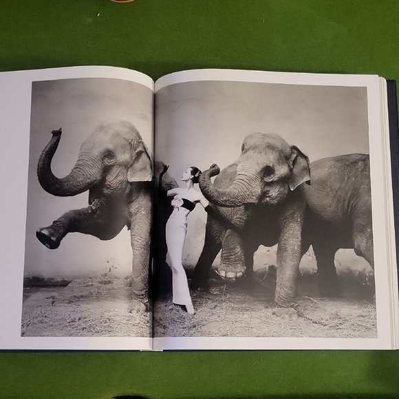 Dior by Avedon Book - Picture 7 of 7